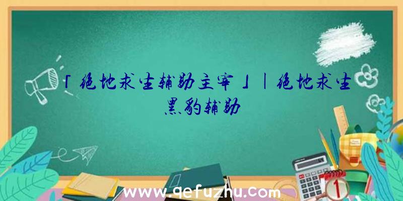 「绝地求生辅助主宰」|绝地求生黑豹辅助